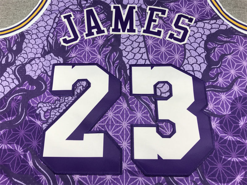 LeBron James #23 Los Angeles Lakers Purple 2024 Year of the Dragon Mitchell & Ness Hardwood Classics Swingman Jersey