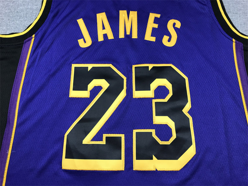 LeBron James #23 Los Angeles Lakers Purple 2022-23 City Edition "Leave A Legacy" Swingman Jersey – Jordan Brand