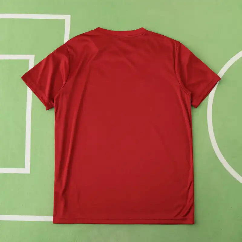 RB Leipzig Training Jersey Fan Version 2024/25 – Scarlet Red Gold Double-Bull Bundesliga Training Shirt