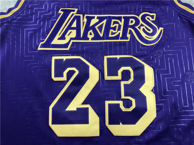 LeBron James #23 Los Angeles Lakers Purple 2018-19 Chinese New Year Gold Maze Mitchell & Ness Hardwood Classics Swingman Jersey