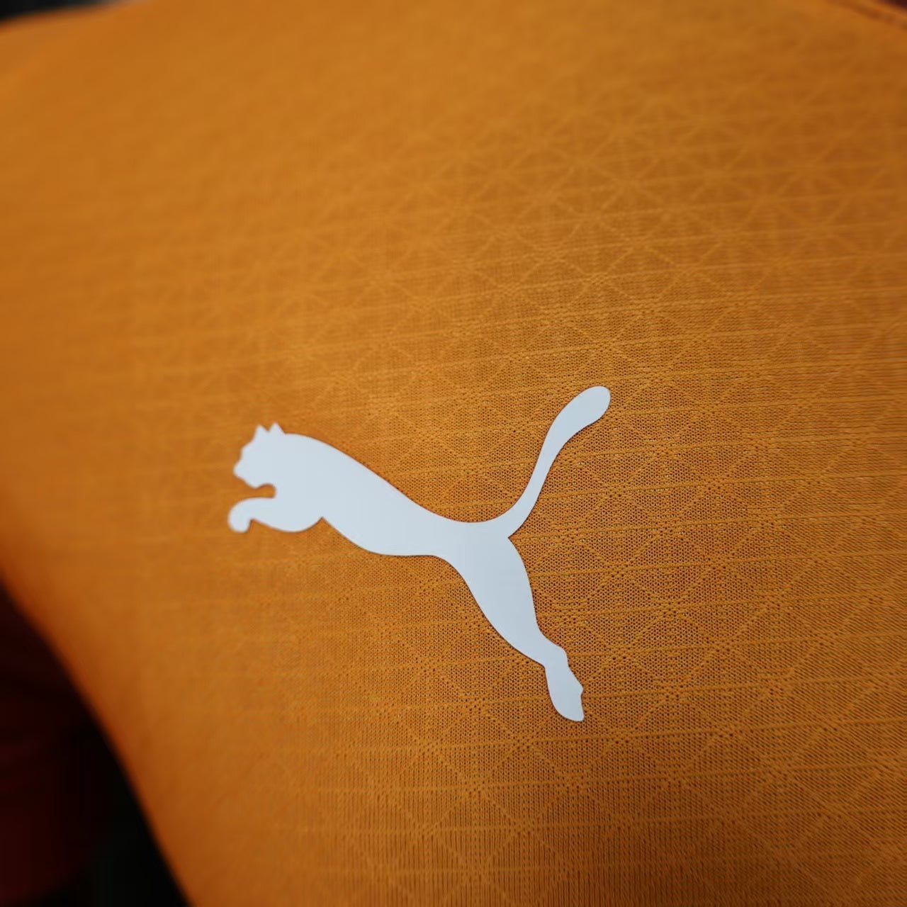 2025/26 Galatasaray Home Player Version Jersey - Orange-Yellow Dark Red Diagonal Half-and-Half Split Body Split V-Neck Collar - Puma White Logo - Turkish Crescent Star Badge - Galatasaray Official Four-Star Lion Cvvvvvvvvvvvvvvvvvvvvvvvvvvv