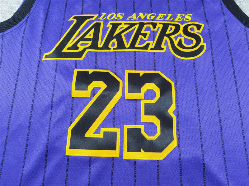 LeBron James #23 Los Angeles Lakers Purple 2021-22 City Edition Pinstripe Swingman Jersey