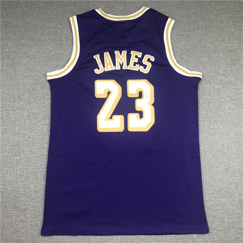 LeBron James #23 Los Angeles Lakers Purple Chinese New Year 「湖人」 Mitchell & Ness Hardwood Classics Swingman Jersey