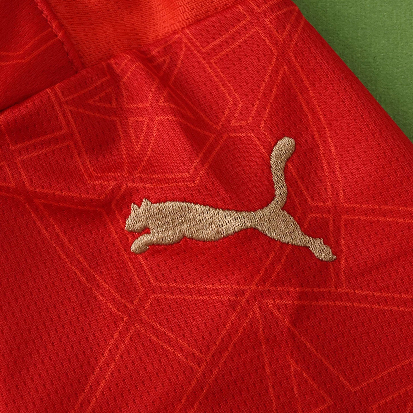 Morocco Home Jersey 2026 FIFA World Cup – Puma Red & Green Atlas Lions Kit | Fan Version