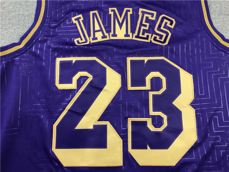 LeBron James #23 Los Angeles Lakers Purple 2018-19 Chinese New Year Gold Maze Mitchell & Ness Hardwood Classics Swingman Jersey