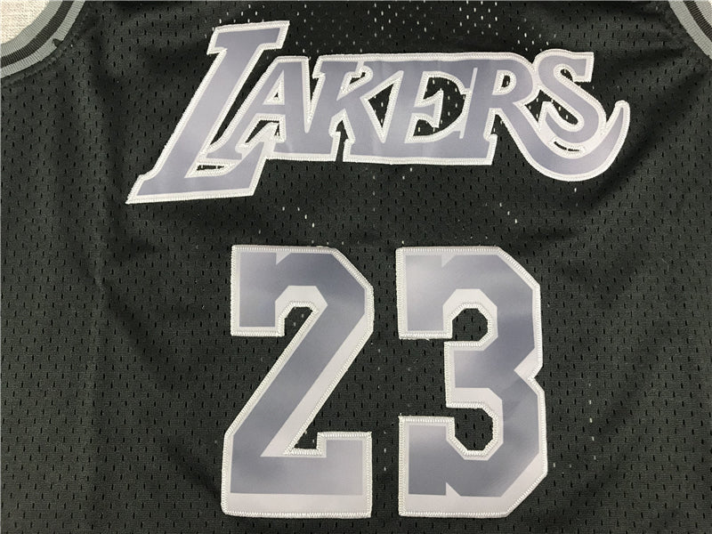 LeBron James #23 Los Angeles Lakers Black Monochrome Mitchell & Ness Hardwood Classics Swingman Jersey