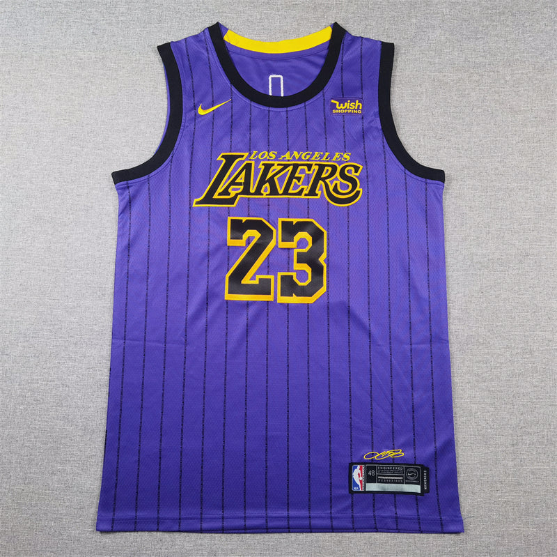 LeBron James #23 Los Angeles Lakers Purple 2021-22 City Edition Pinstripe Swingman Jersey
