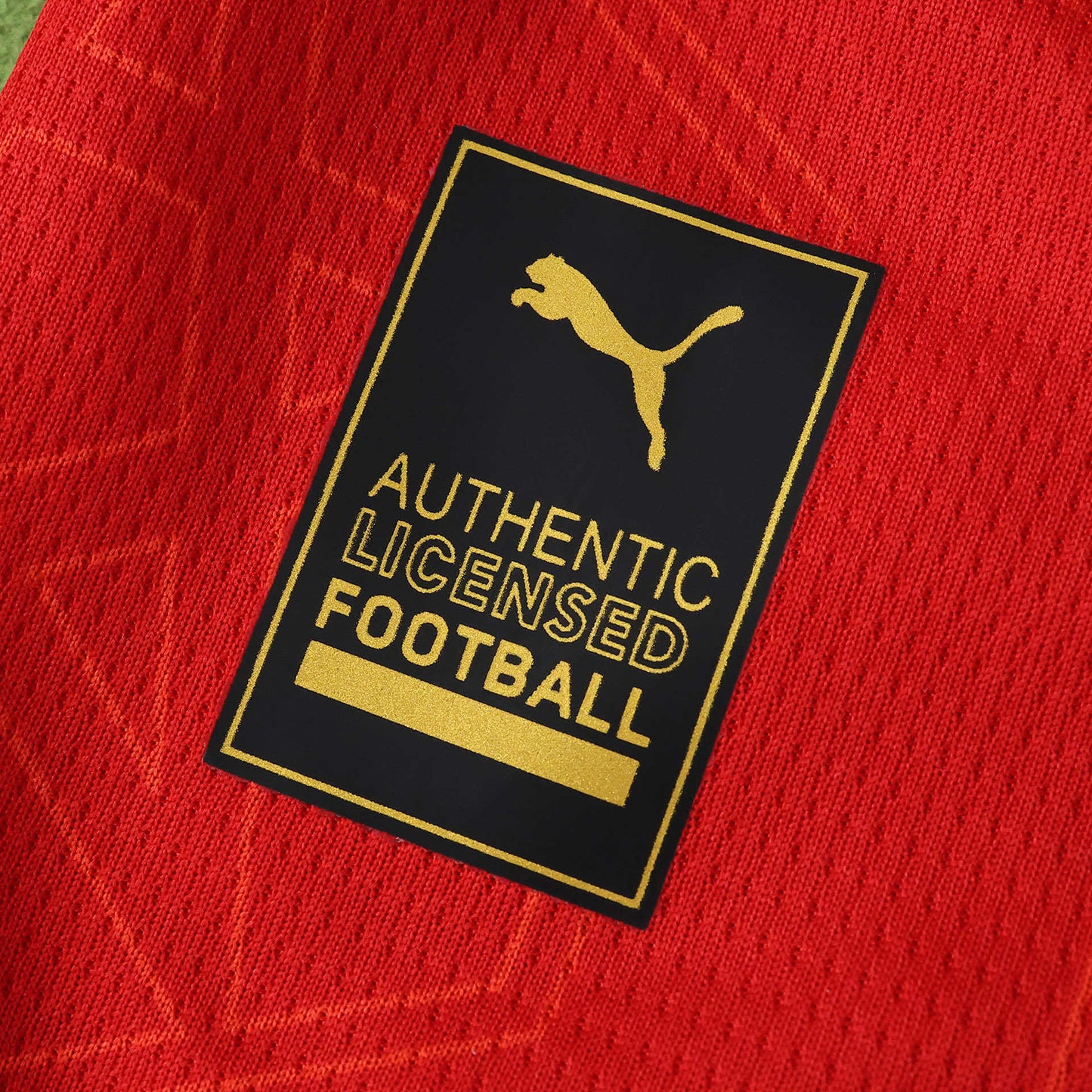 Morocco Home Jersey 2026 FIFA World Cup – Puma Red & Green Atlas Lions Kit | Fan Version