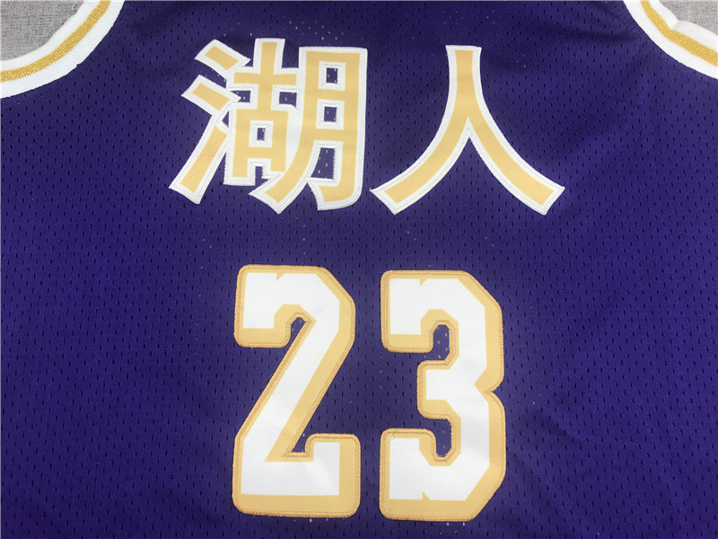 LeBron James #23 Los Angeles Lakers Purple Chinese New Year 「湖人」 Mitchell & Ness Hardwood Classics Swingman Jersey