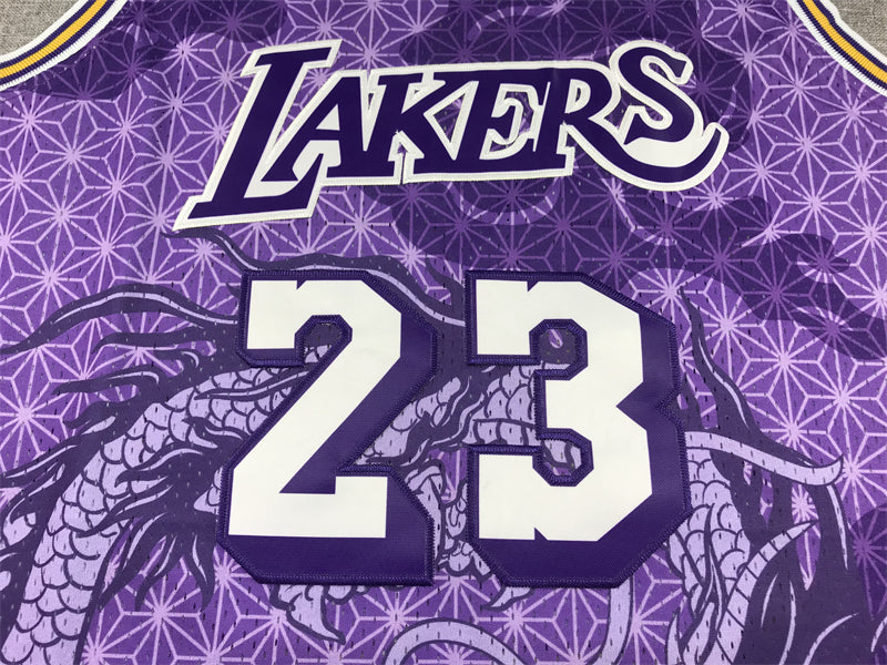 LeBron James #23 Los Angeles Lakers Purple 2024 Year of the Dragon Mitchell & Ness Hardwood Classics Swingman Jersey