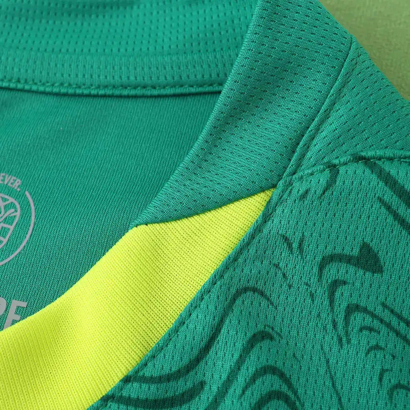 Senegal National Team 2025/26 Away Fan Jersey – Green Lion Print | Puma | Teranga Lions Kit