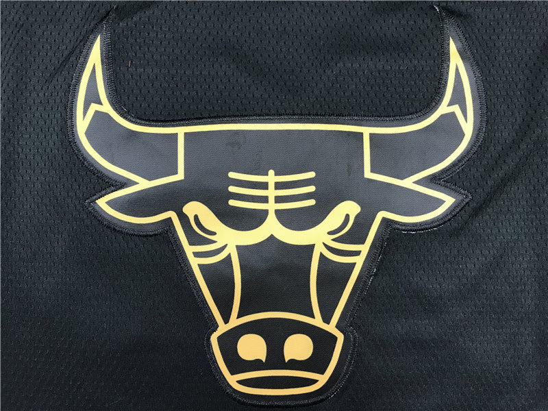 Michael Jordan #23 Chicago Bulls Nike Black Golden Edition Gold Outline Logo Swingman Jersey