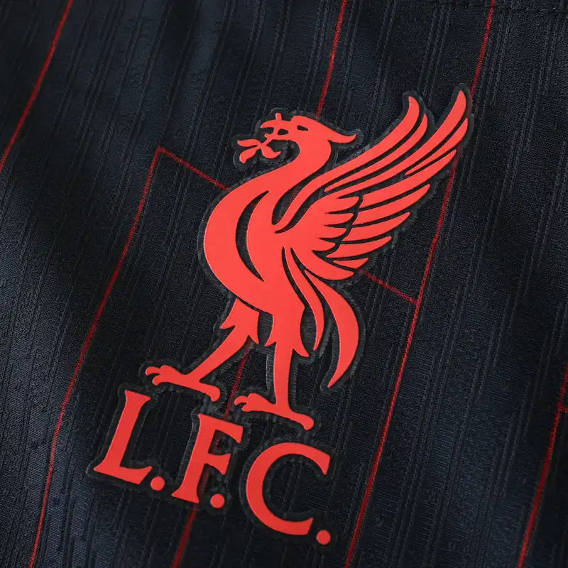 Liverpool F.C. Concept Jersey 2024/25 | Fan Version Football Shirt with Player Name & Number