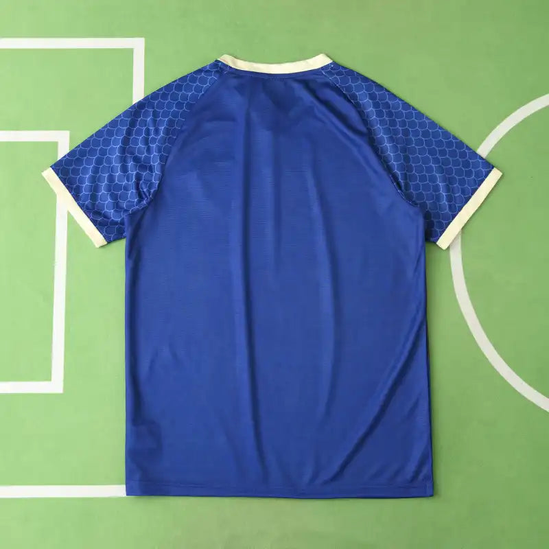 Japan National Team Concept Jersey 2024/25 Vol.3 | Fan Version Samurai Blue Football Shirt
