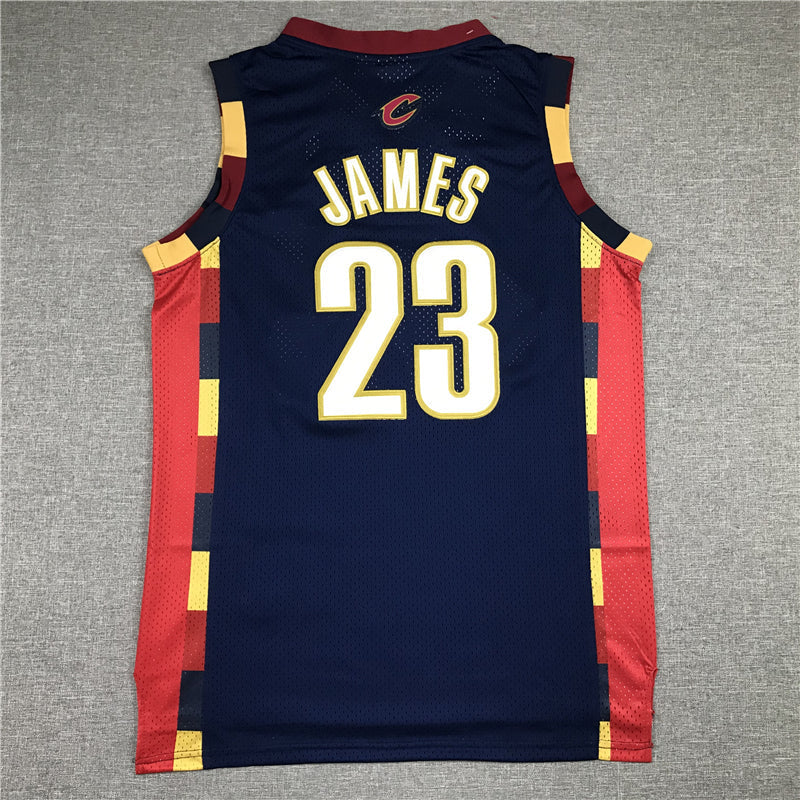LeBron James #23 Cleveland Cavaliers Navy 2008-09 Mitchell & Ness Hardwood Classics Swingman Jersey
