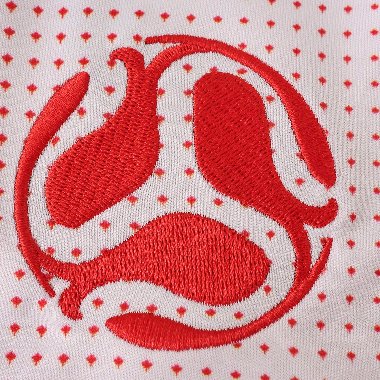 Canada 2026 FIFA World Cup Pre-Match Promo Tee – Adidas Aeroready Host Nation Edition