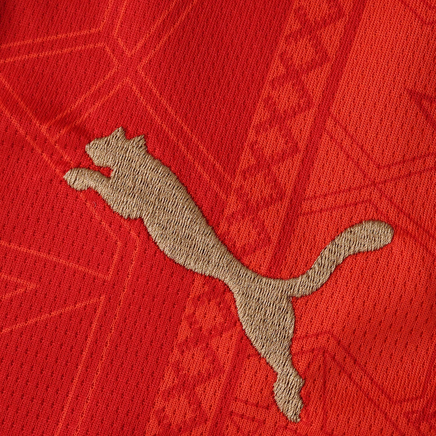 Morocco Home Jersey 2026 FIFA World Cup – Puma Red & Green Atlas Lions Kit | Fan Version