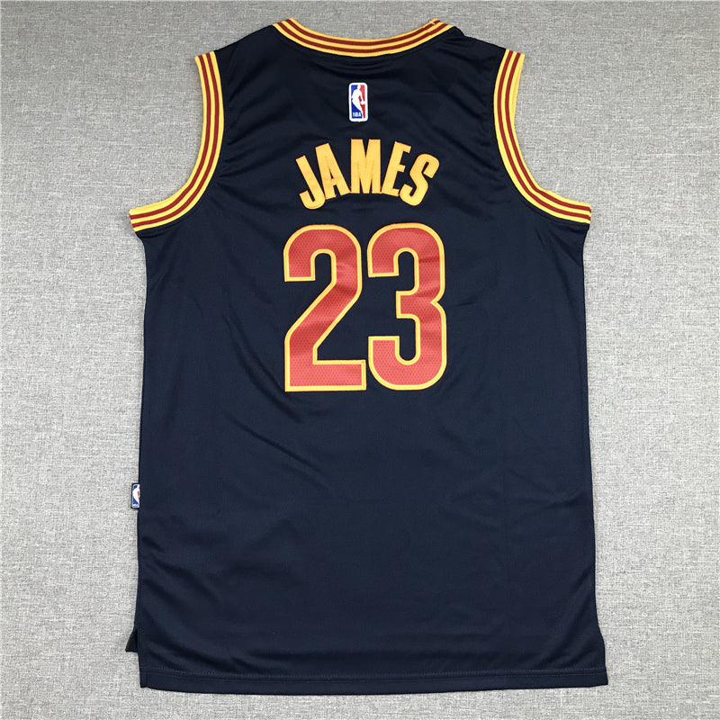 LeBron James #23 Cleveland Cavaliers Navy CAVS Adidas Swingman Alternate Jersey