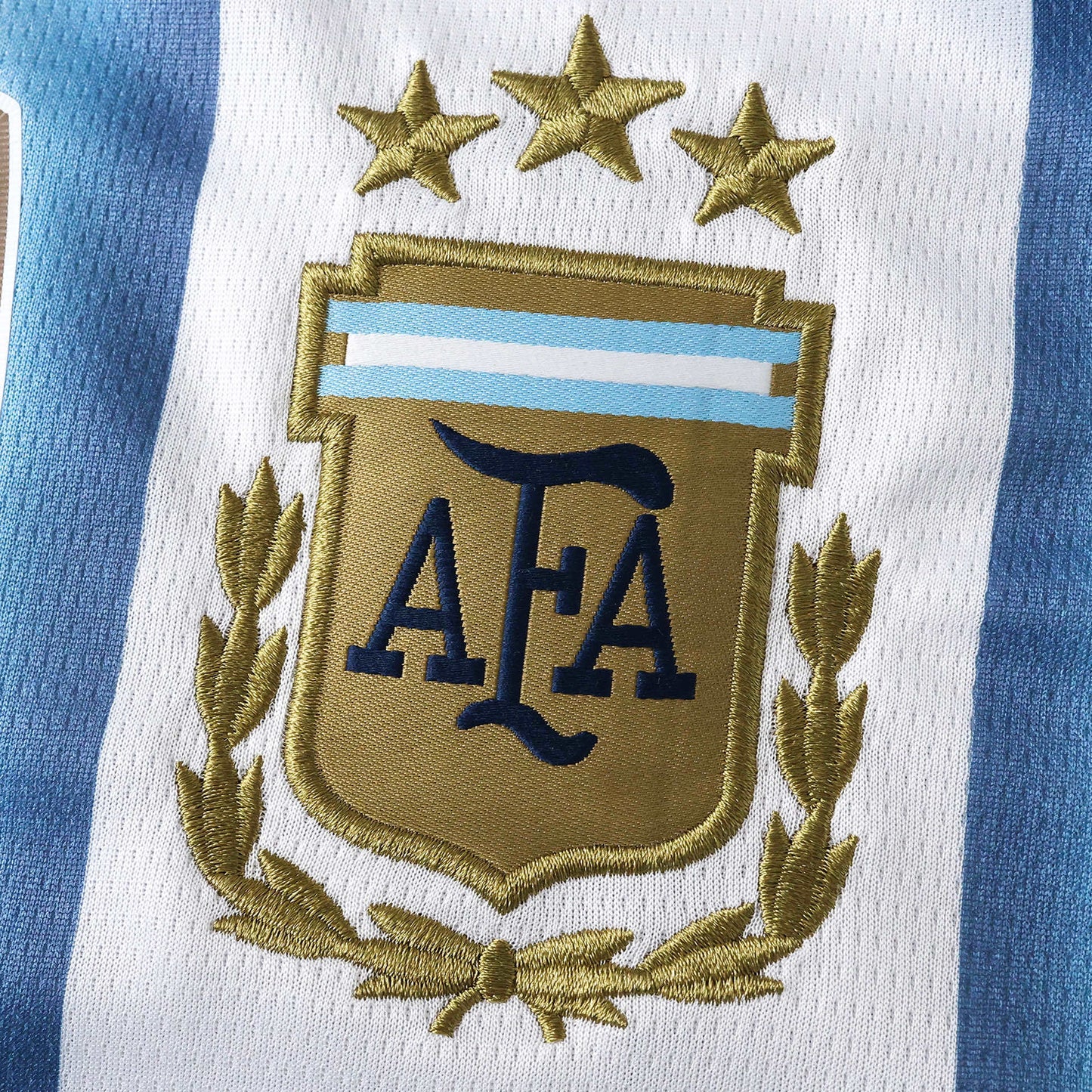 Argentina National Team Home Jersey 2026 FIFA World Cup – Fan Version | Custom Name & Number