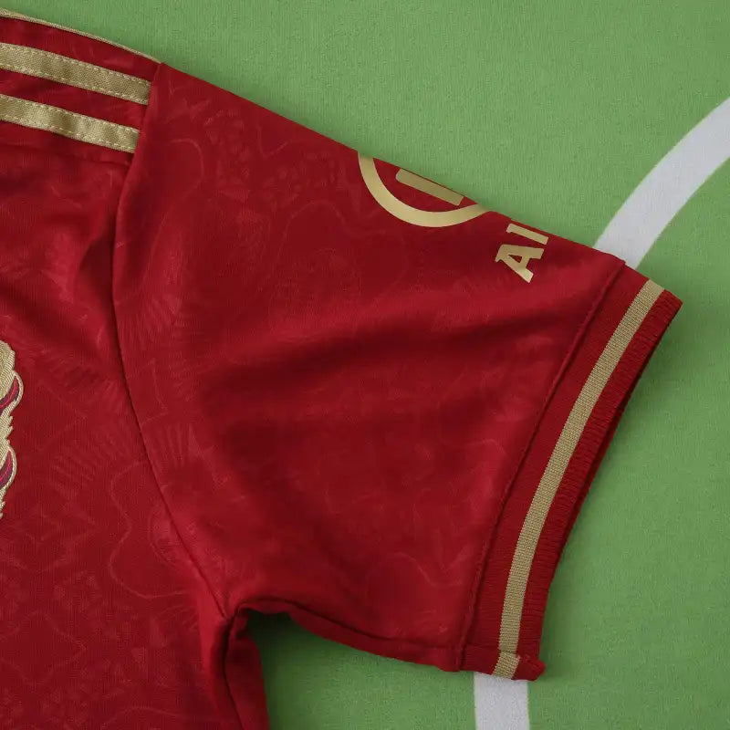 FC Bayern München 125th Anniversary Fan Jersey 2024/25 | Kimmich Gnabry Kane Sané Müller