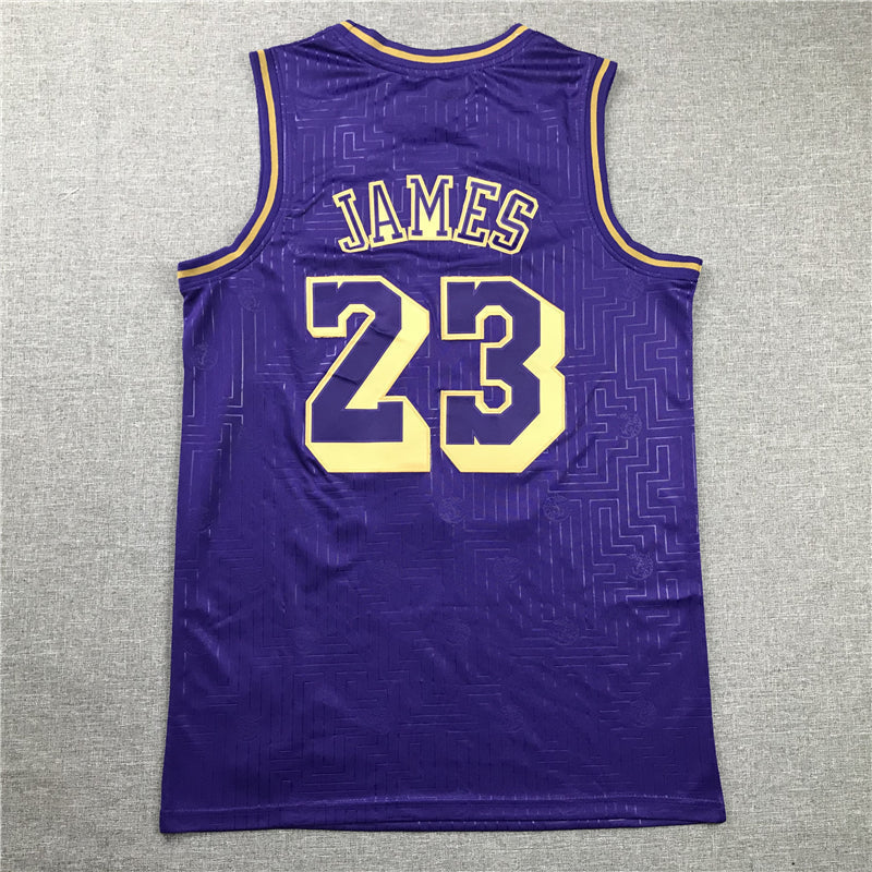 LeBron James #23 Los Angeles Lakers Purple 2018-19 Chinese New Year Gold Maze Mitchell & Ness Hardwood Classics Swingman Jersey