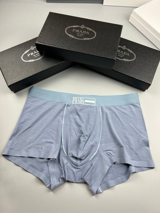 Prada Pale Blue Fine Waist Wordmark Boxer Briefs, image 1