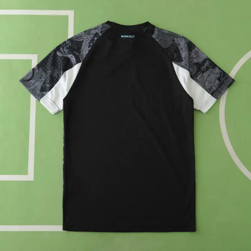 Bayer 04 Leverkusen Third Kit Fan Jersey 2024/25