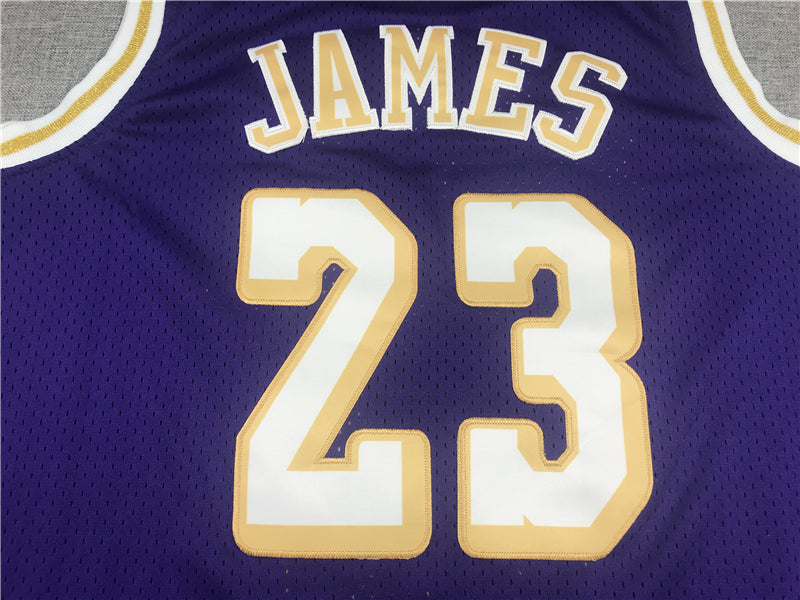 LeBron James #23 Los Angeles Lakers Purple Chinese New Year 「湖人」 Mitchell & Ness Hardwood Classics Swingman Jersey