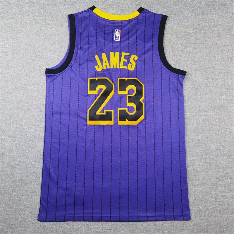 LeBron James #23 Los Angeles Lakers Purple 2021-22 City Edition Pinstripe Swingman Jersey