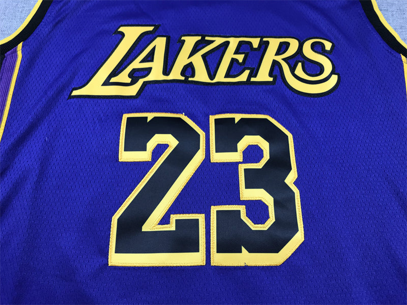 LeBron James #23 Los Angeles Lakers Purple 2022-23 City Edition "Leave A Legacy" Swingman Jersey – Jordan Brand