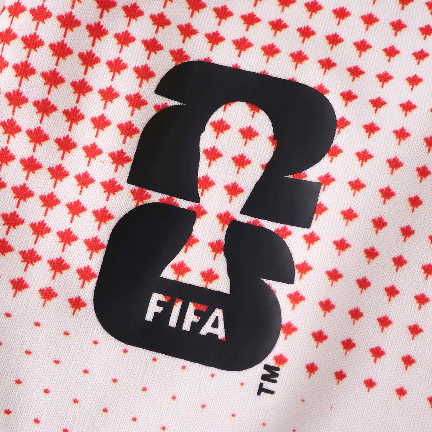 Canada 2026 FIFA World Cup Pre-Match Promo Tee – Adidas Aeroready Host Nation Edition