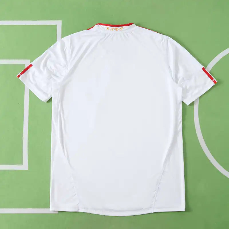 Spain National Team 2010 World Cup Away Retro Fan Jersey – White | Adidas | FIFA World Champions Badge