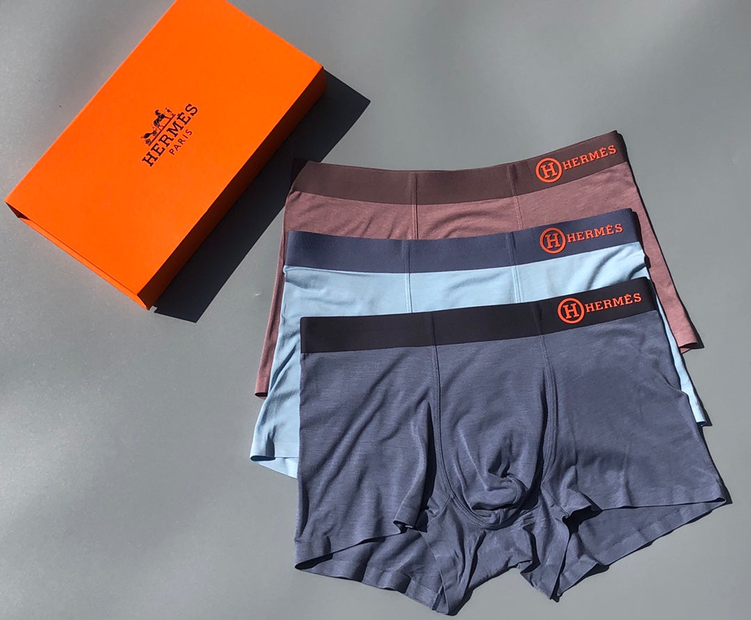 Hermès Grey White Brown Small Waist Medallion Boxer Briefs, image 2