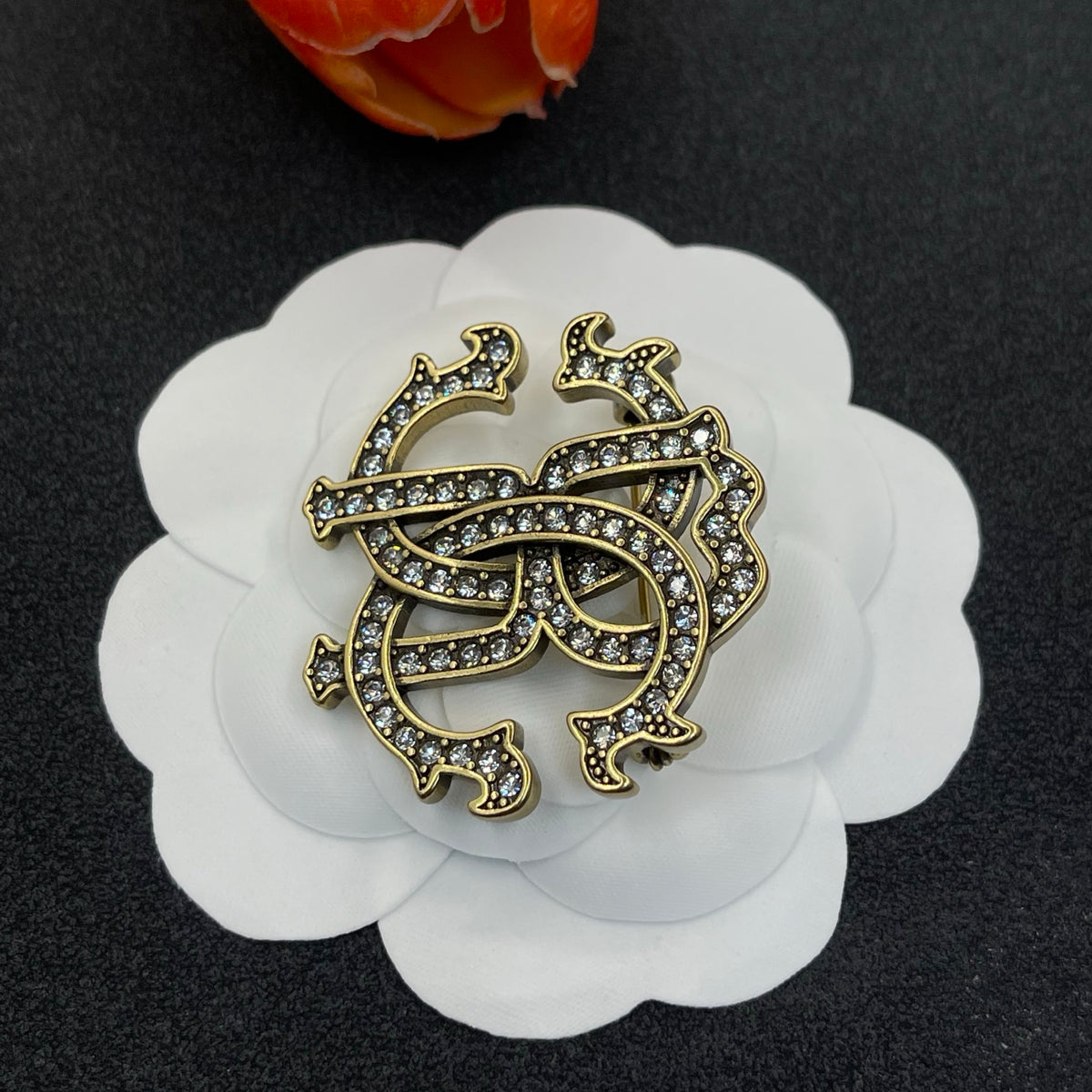 Roberto Cavalli pave RC monogram brooch in Two-Tone, detail view 3