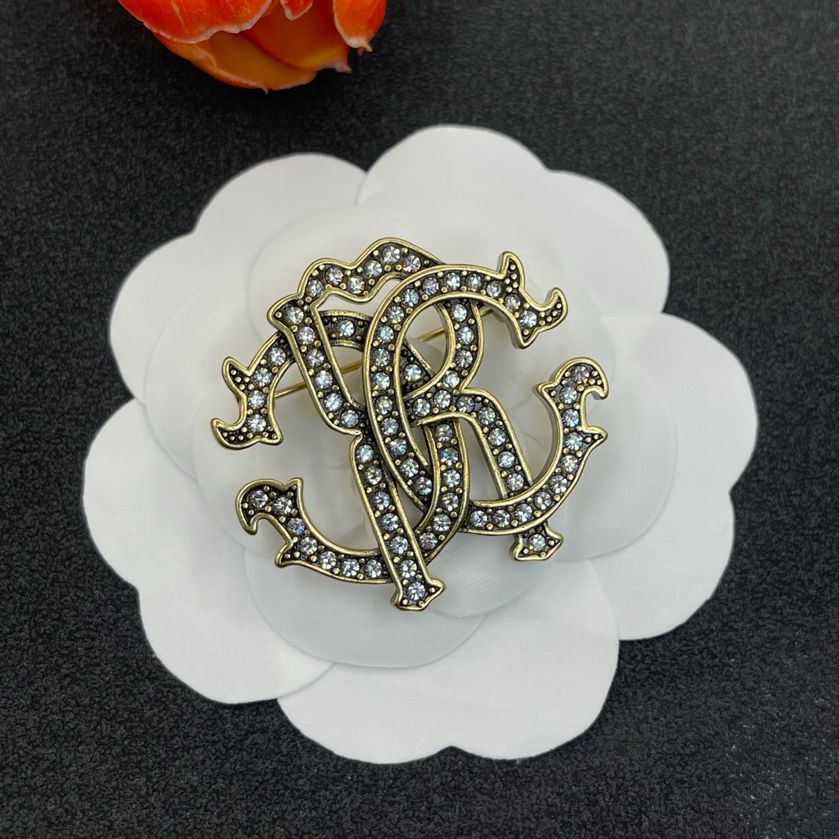 Roberto Cavalli pave RC monogram brooch in Two-Tone, main view
