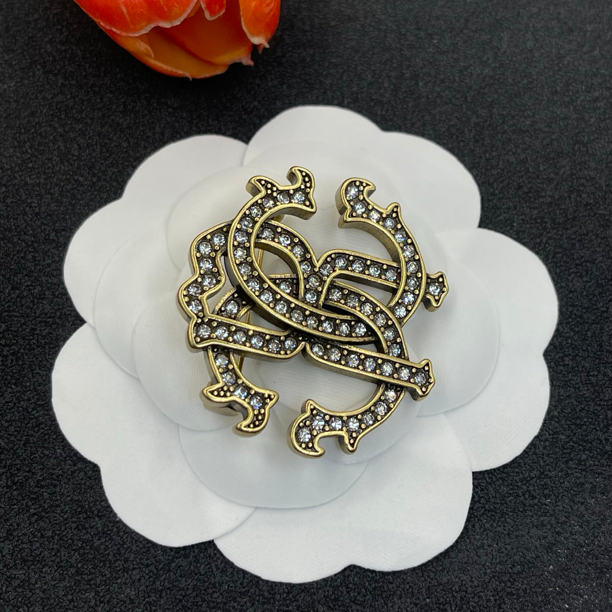 Roberto Cavalli pave RC monogram brooch in Two-Tone, detail view 2