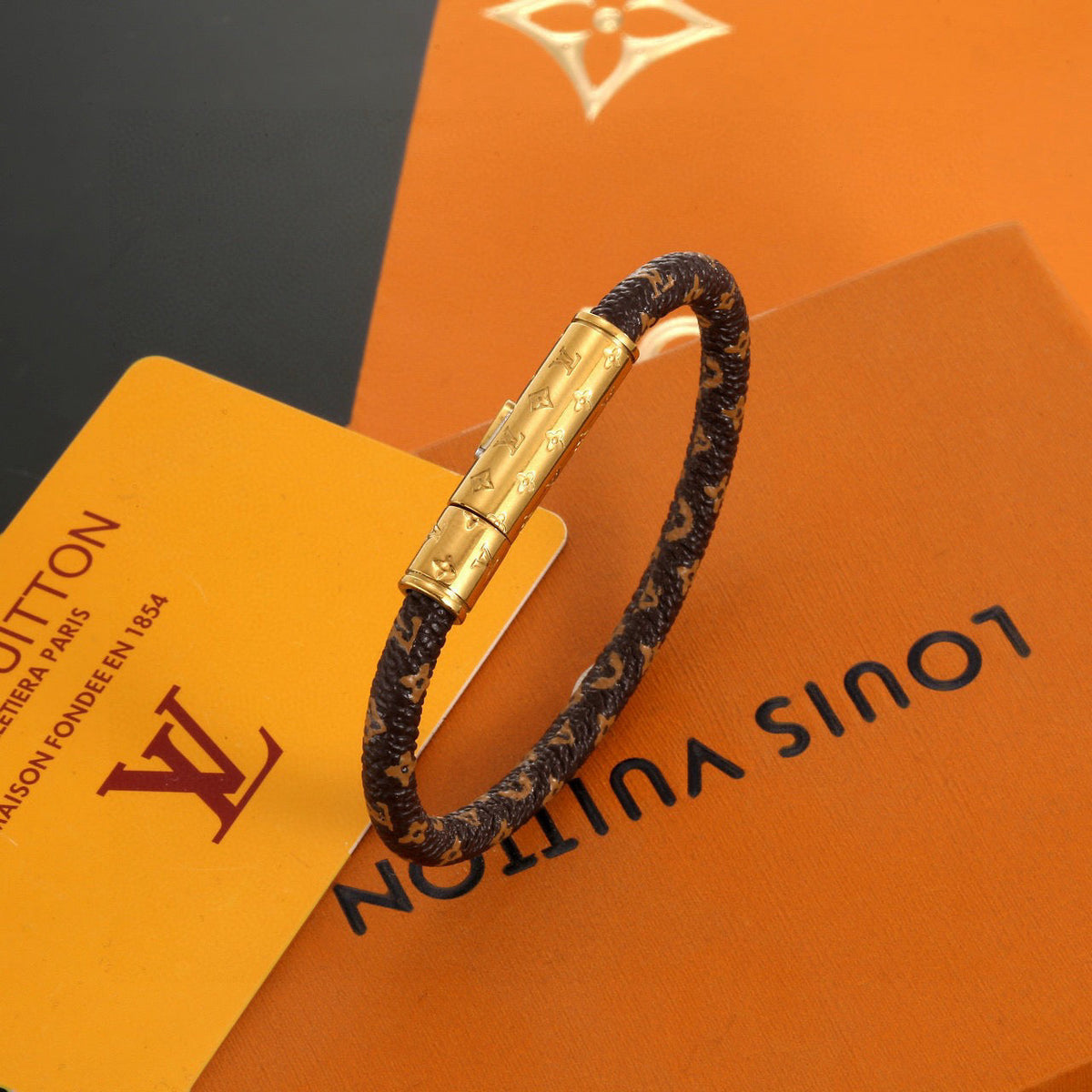Louis Vuitton Leather Gold-Tone Fashion Accessory – Style 06 - image 1